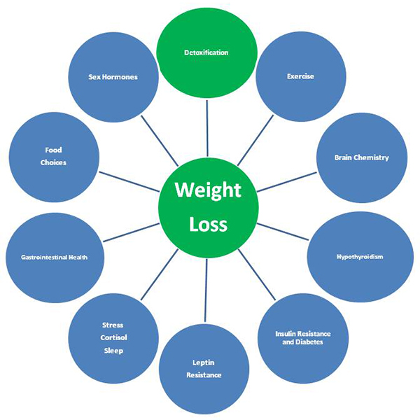 Diet Control Chart For Weight Loss